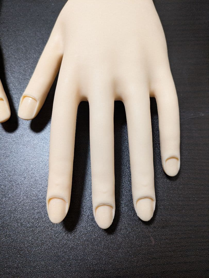 JNEC認定モデルハンド(両手)＋モデルハンド用チップ・シールセット