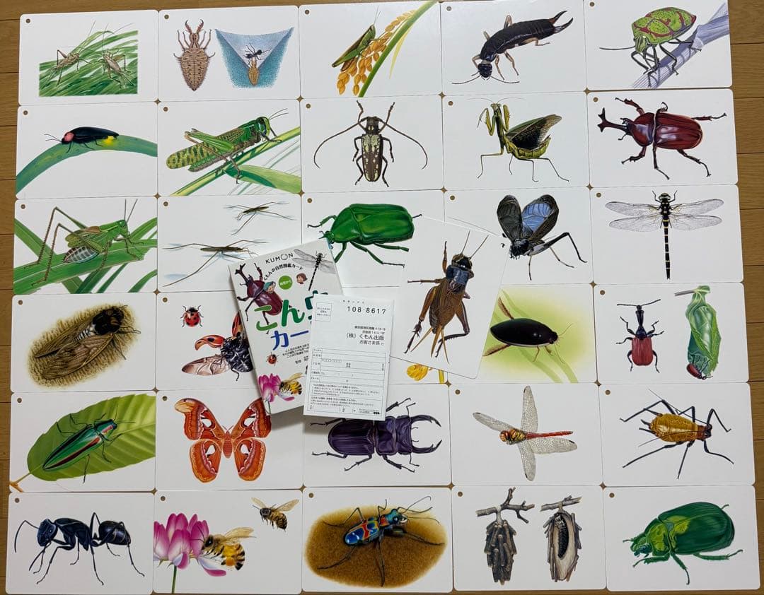 くもんのカードセット