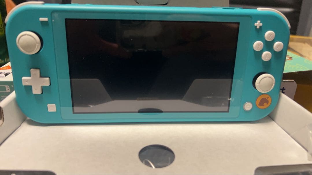 Nintendo Switch Lite どうぶつの森 ターコイズ　ジャンク品
