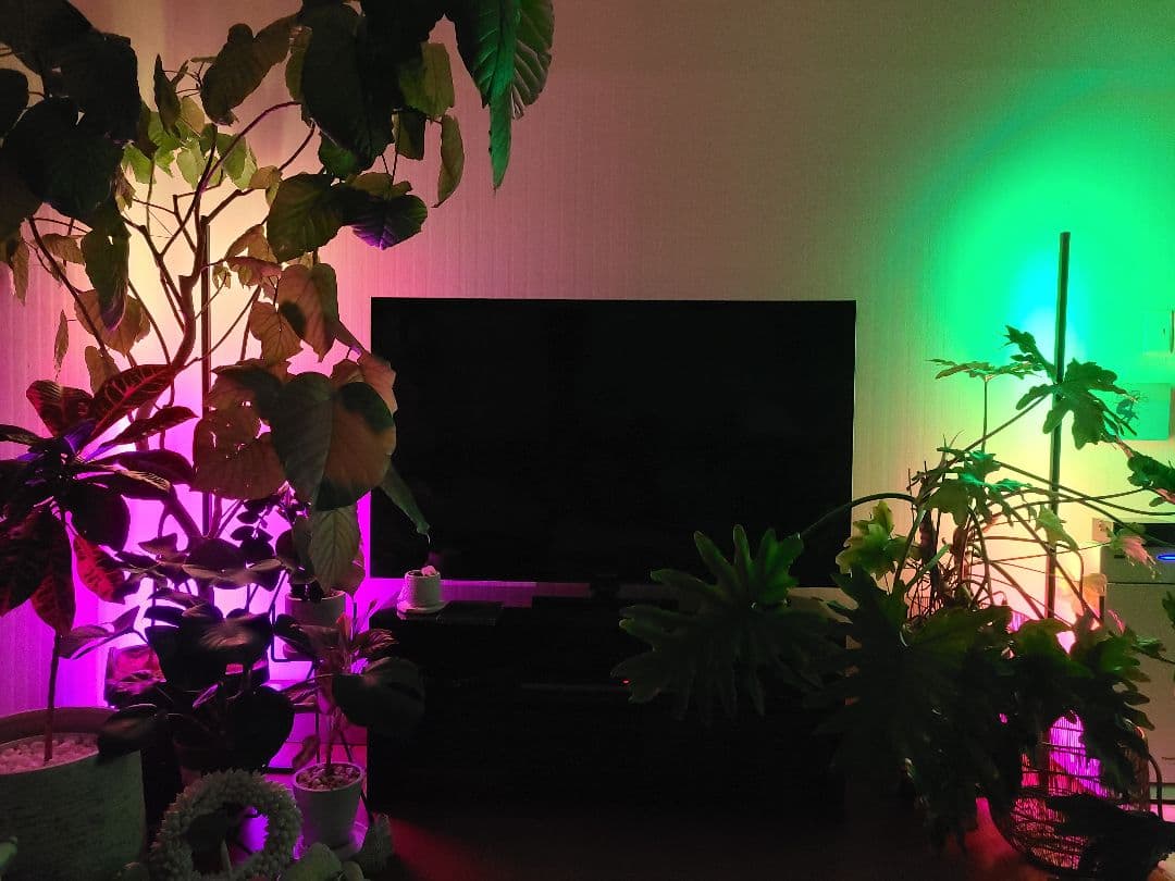 ILLUMINAR　Funky Lama　フロアライト2本セット　間接照明