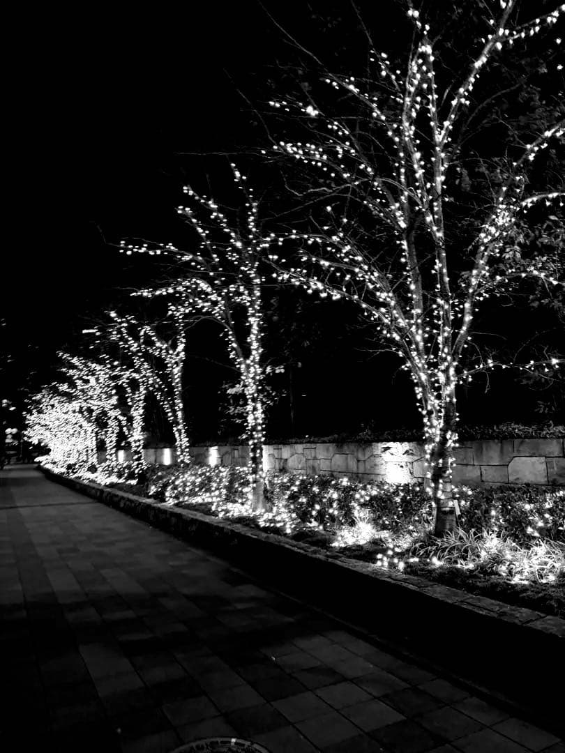 お鍋在庫の確認