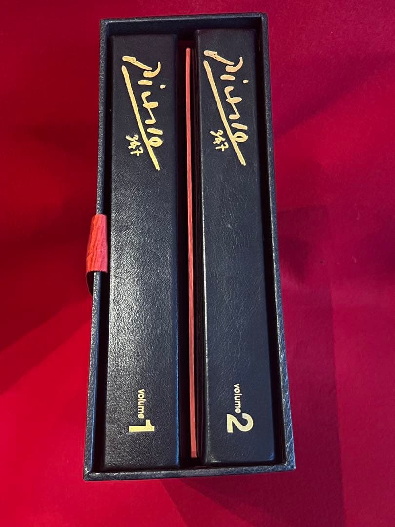 Picassoピカソ佐藤