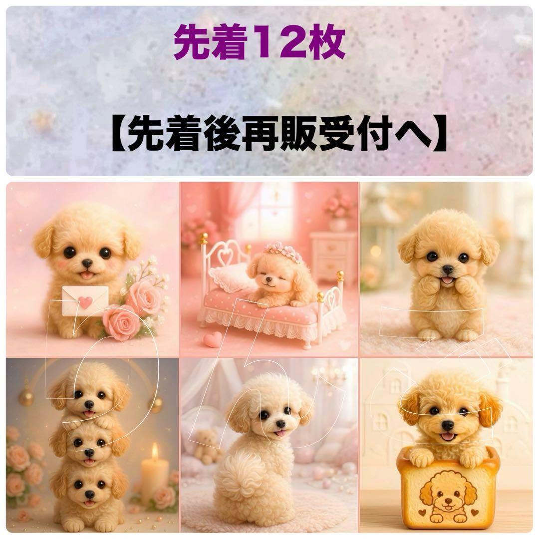 ハンドメイド　オーダー受付ページ　　♡トイプードル　パネル♡