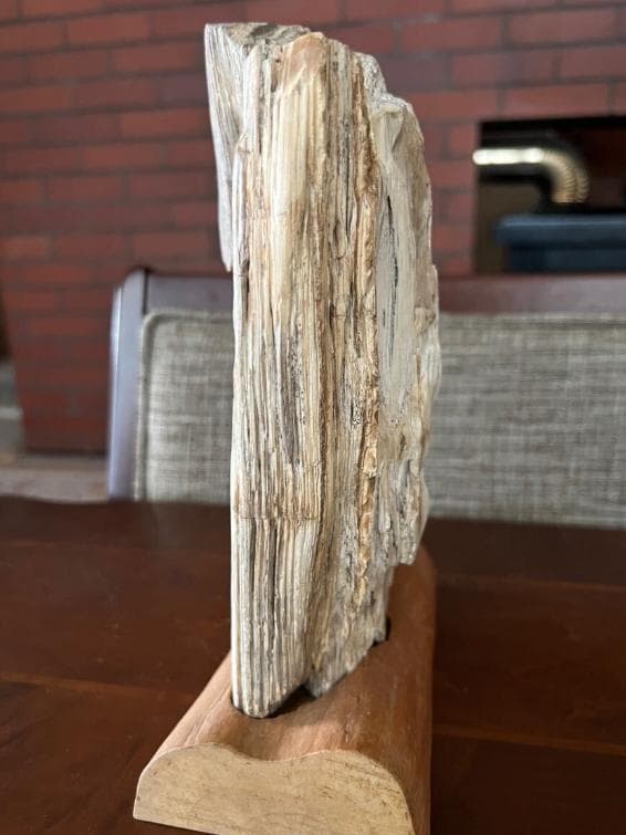 石収集家 人生コレクション 1.7kg 珪化木 ケイカボク 化石 天然石 鑑賞石