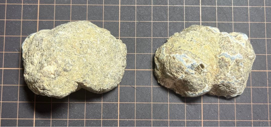 石川県産　陰陽石　龍石　サンダーエッグ　瑪瑙　国産鉱物　標本　原石　めのう