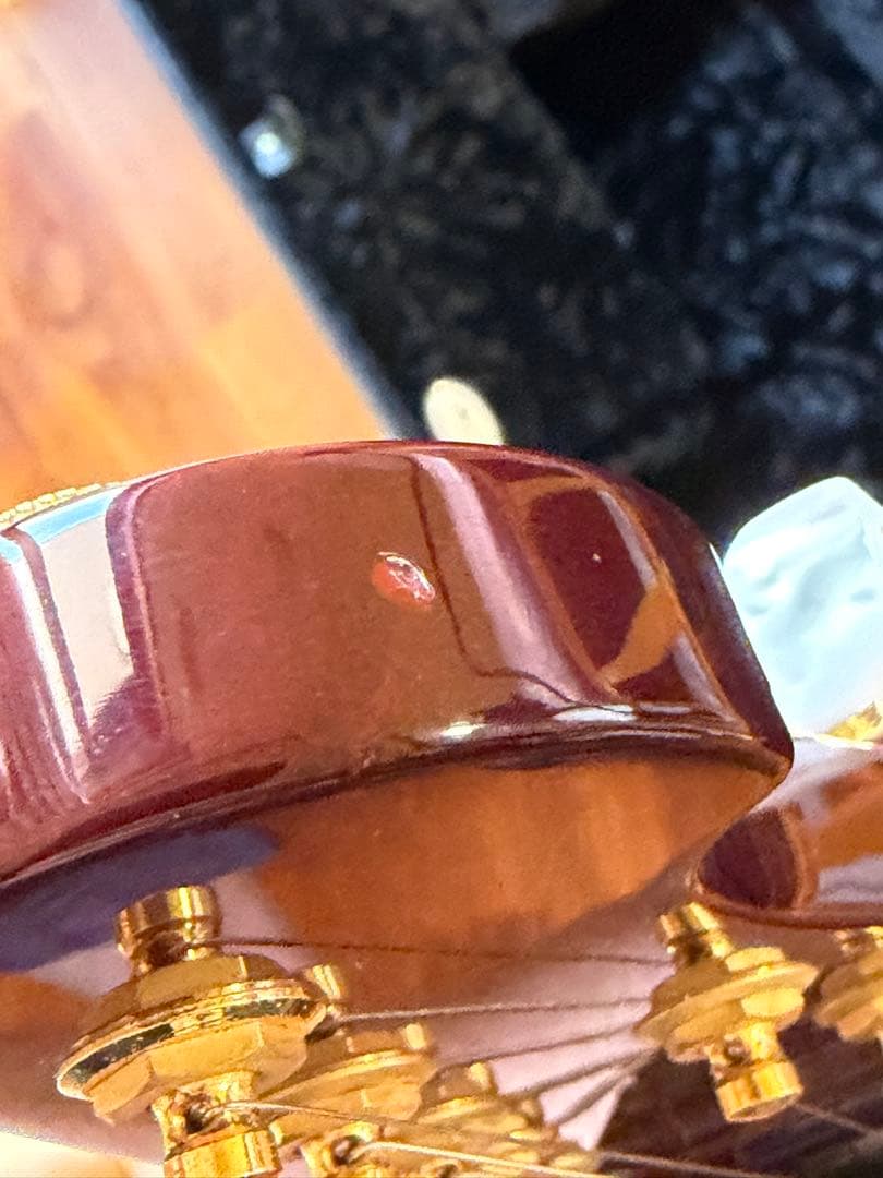 ギター Music Man John Petrucci JP7 KOA BFR