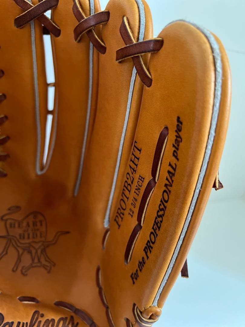 ローリングス 硬式グローブ PROTB24HT