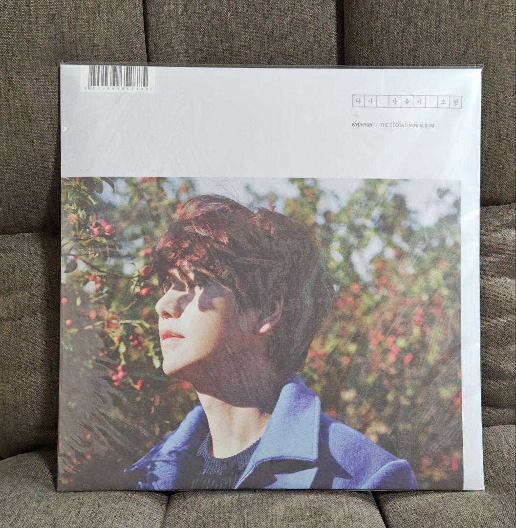 SUPER JUNIOR スーパージュニア キュヒョン KYUHYUN LP版