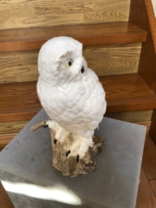 フクロウ（とまり木）