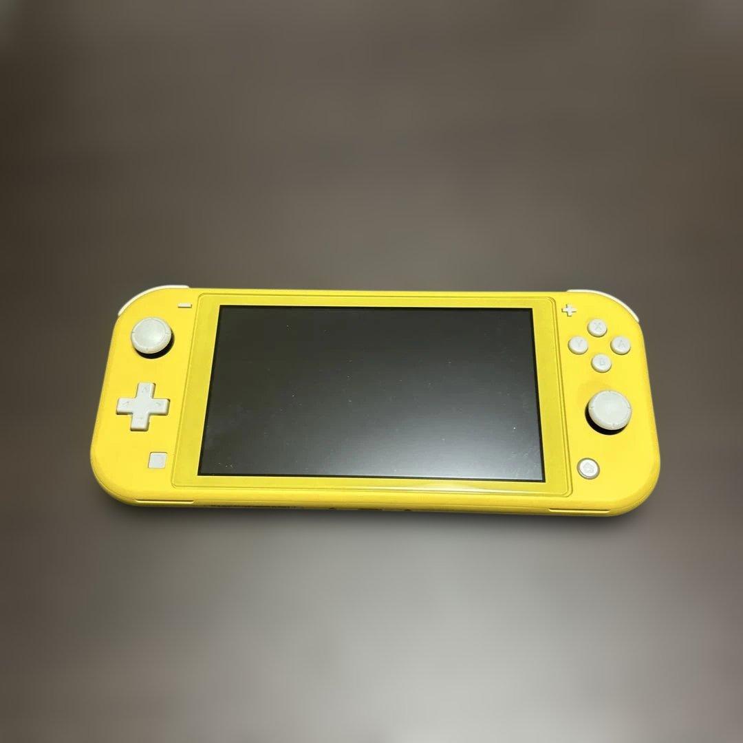 Switchライト　ACアダプタ　ケース付き