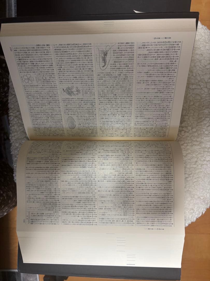 広辞苑 第七版 2巻セット