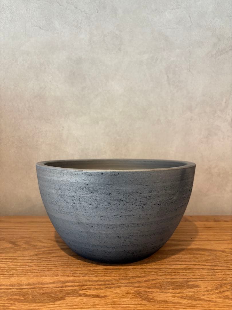 【丸型】パキプス／発根済み・塊根18cm みやび鉢