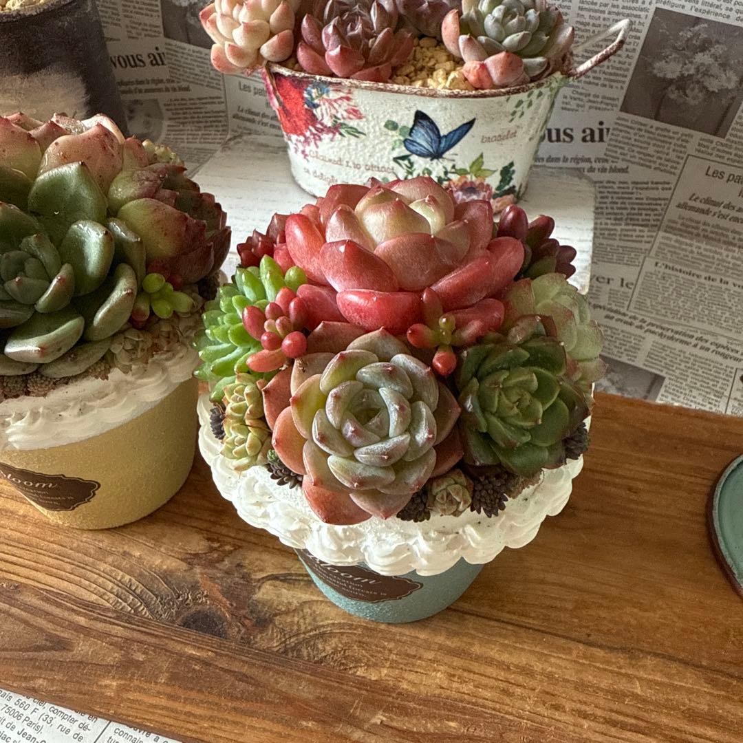 ❤︎sweets whip❤︎ そのまま飾れる多肉植物の寄せ植えリメ鉢ちまリメ缶