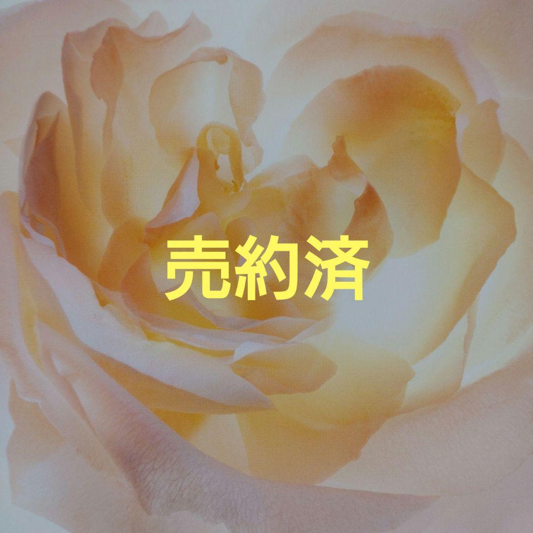 唐津焼　絵唐津　抹茶茶碗　中里嘉孝　共箱　無傷