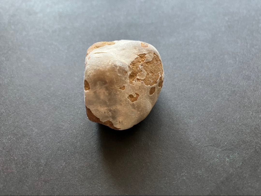 ヨルダン　死海の石 2010年採取