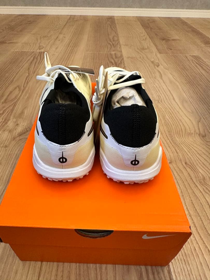 NIKE ティエンポ レジェンド 10 プロ TF