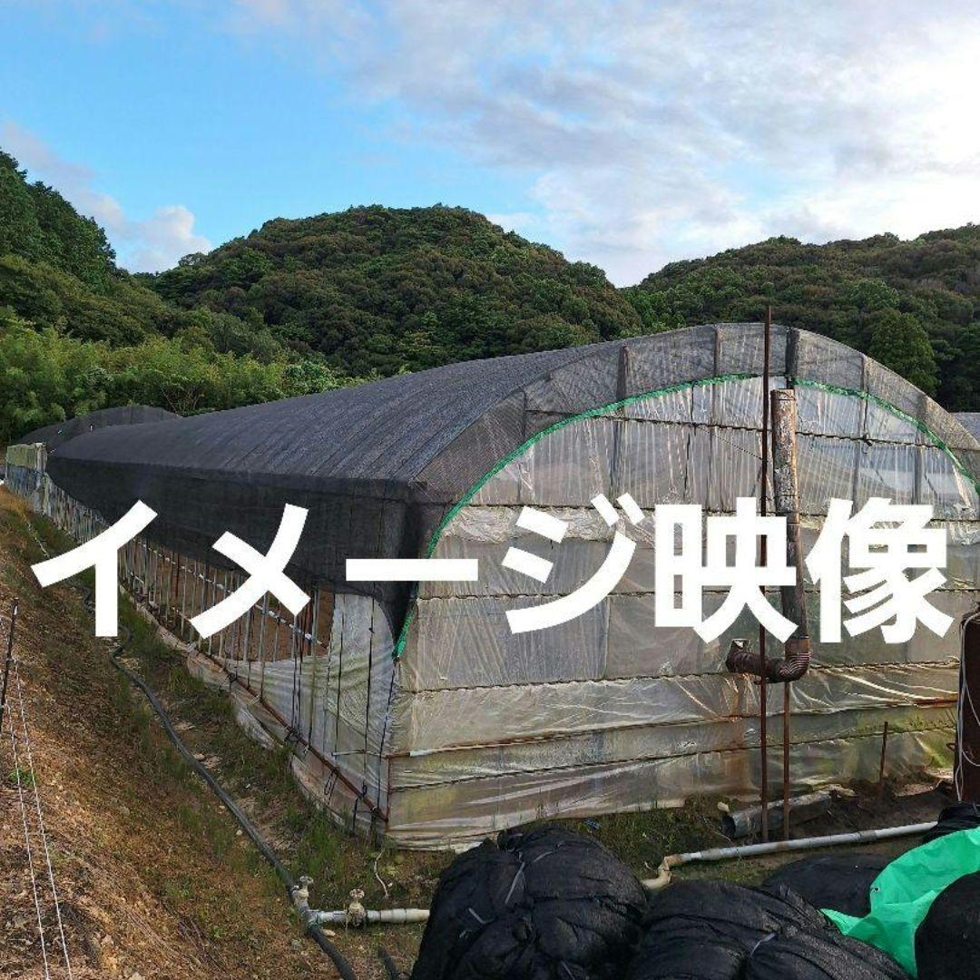 「お値下げ致しました」ハウス用遮光ネット(網タイプ)