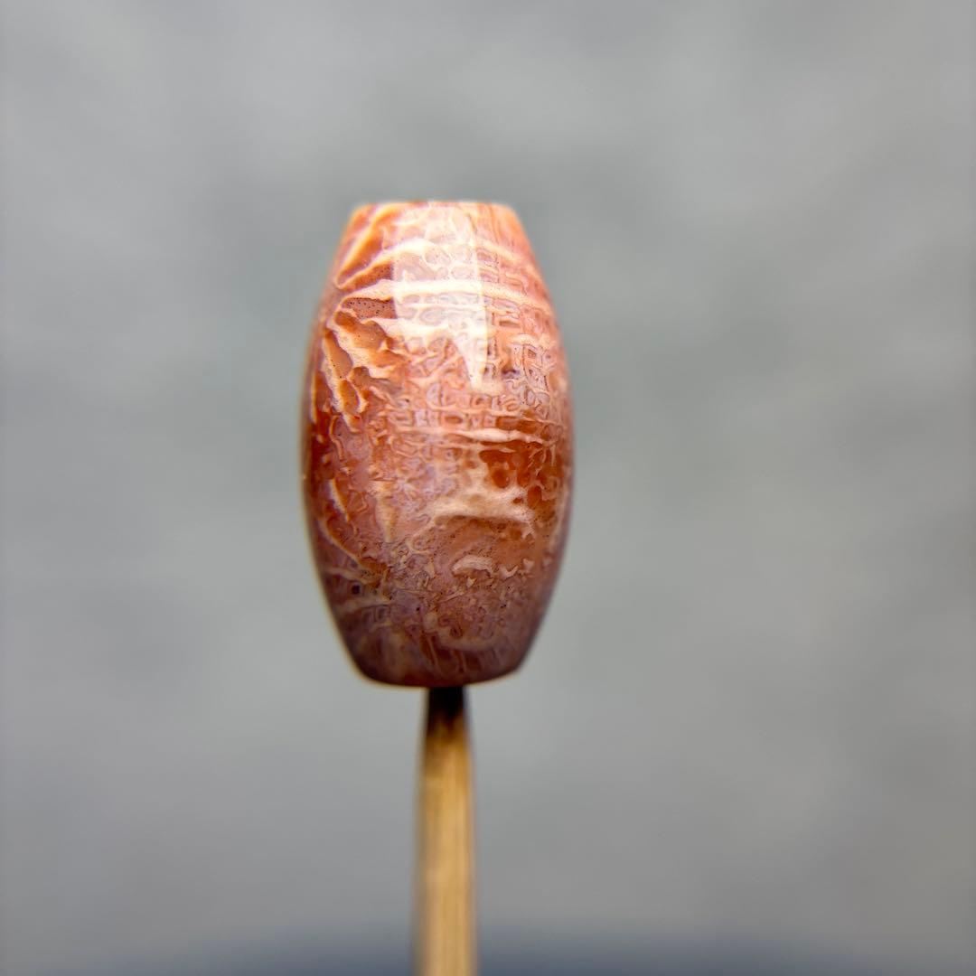 もんちゃんフォッシルコーラル　天珠　1-331