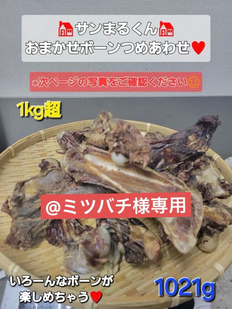 【お肉たっぷりいろいろボーンジャーキー】人気のガジガジ　ドライボーン