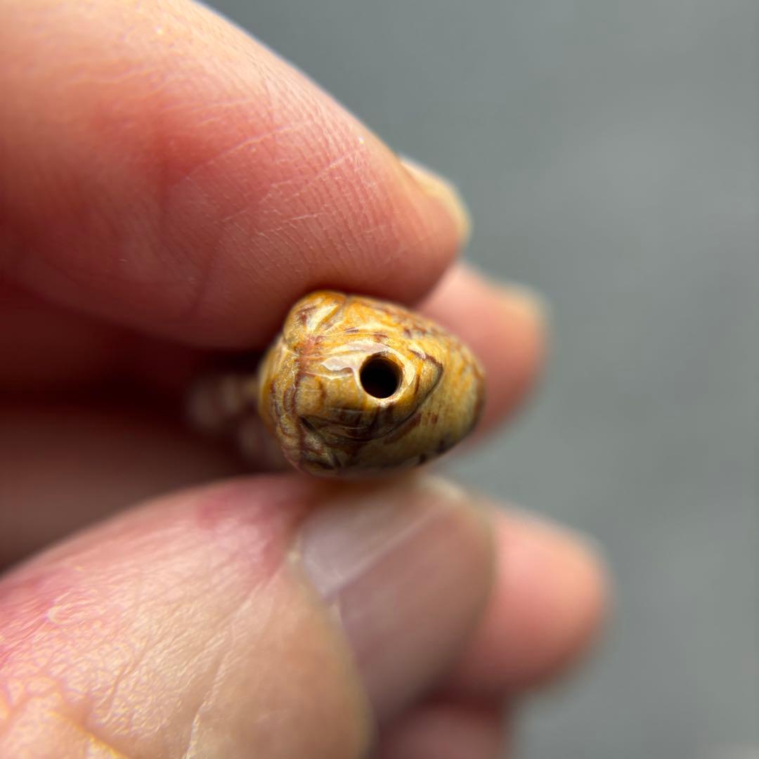 あずきちゃんフォッシルコーラル　馬パーツ　1-145