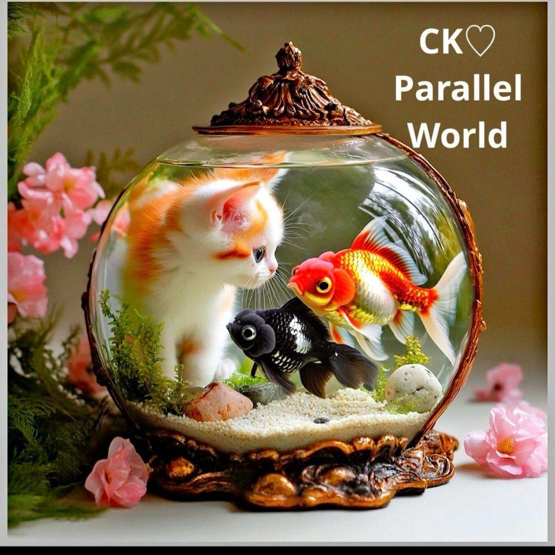 激レアねこと金魚パネル生地　ハンドメイド