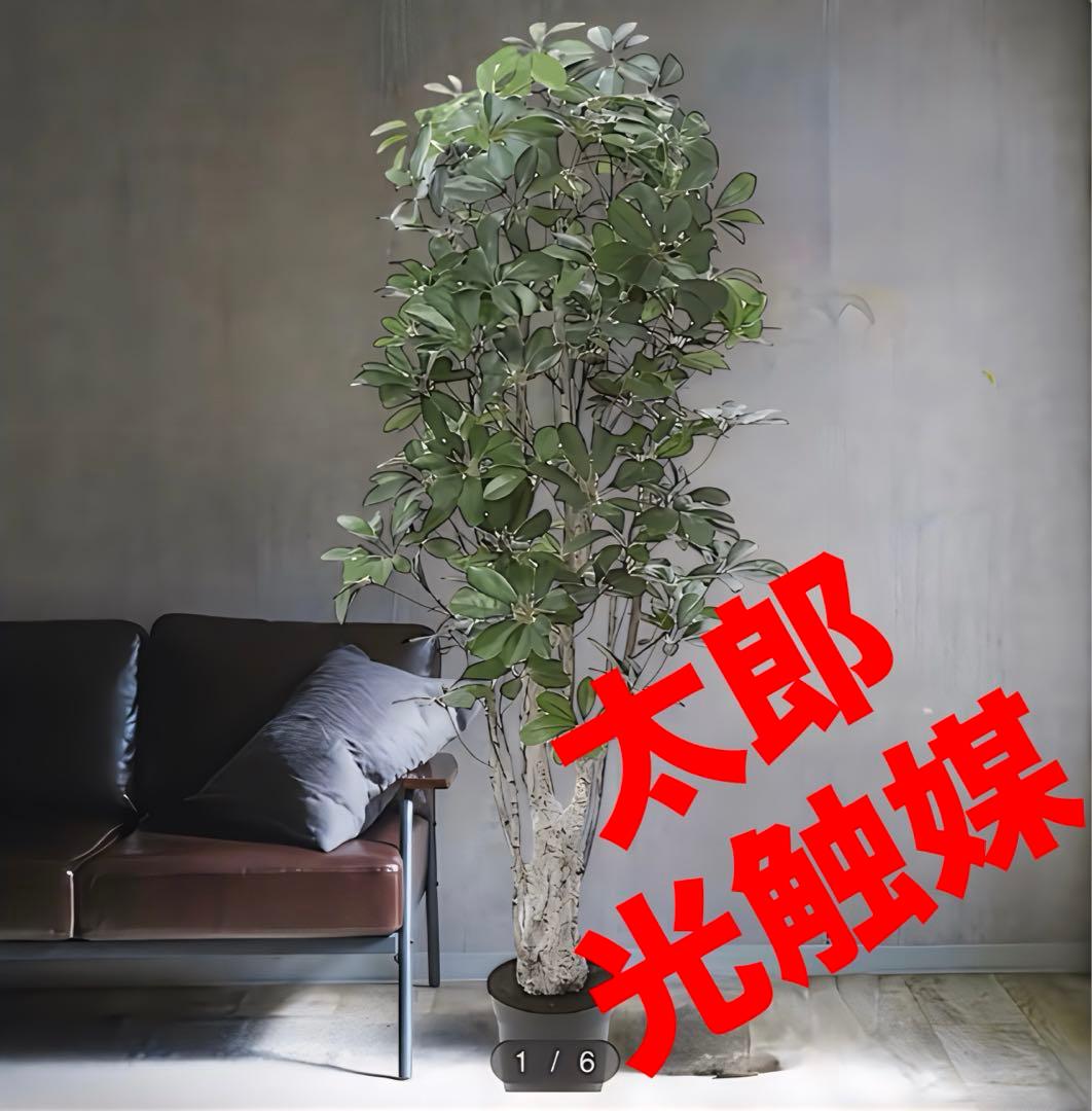 光触媒　人工観葉植物　ウォールグリーン　フェイクグリーン　シェフレア155