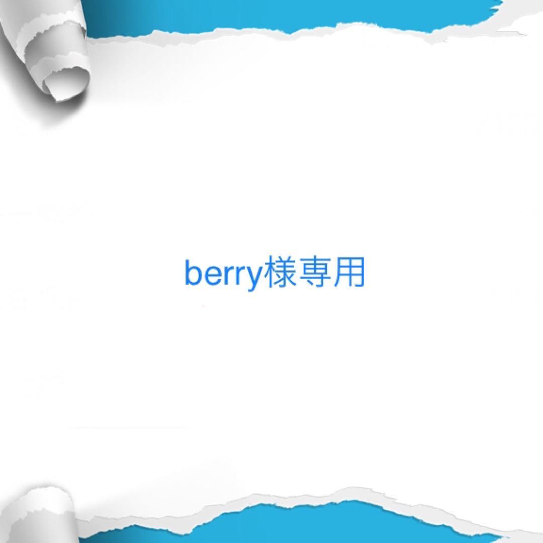 その他 berry