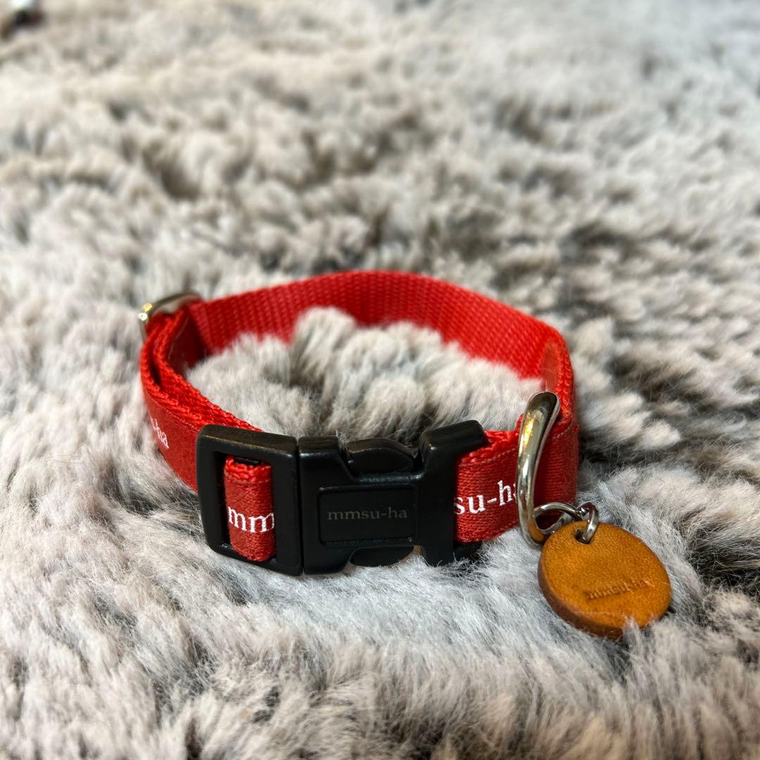 【ベティ】mmsu-ha エムエムスーハ ロゴ カラー リード セット