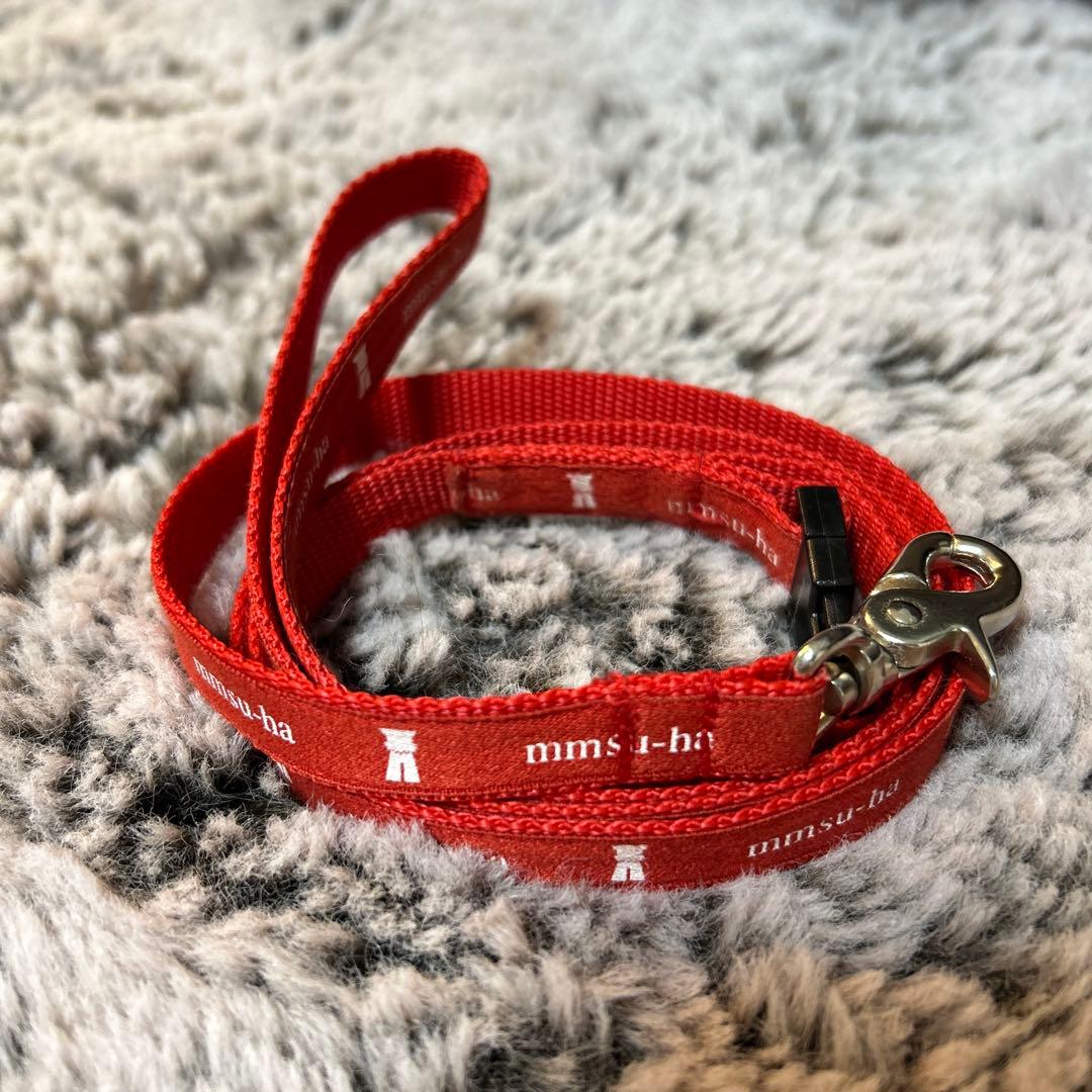 【ベティ】mmsu-ha エムエムスーハ ロゴ カラー リード セット