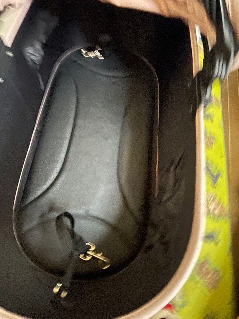 AIRBUGGY ドーム3ラージ　ブロッサム　セット販売