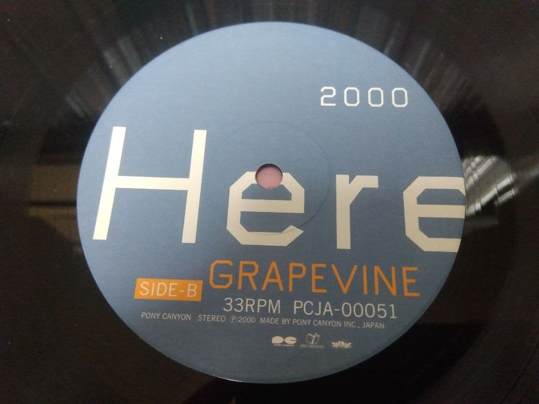 GRAPEVINE Here LP グレイプバイン アナログ レコード