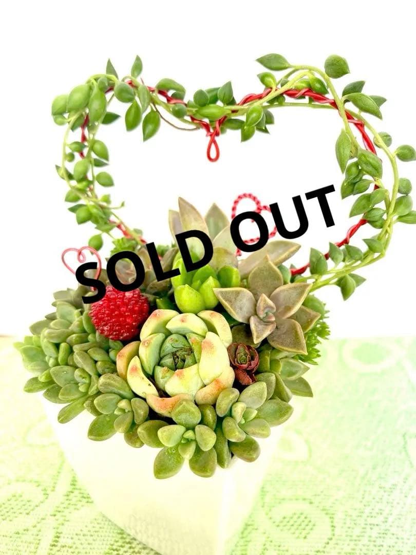 多肉寄せ植え♡グリーンネックレス