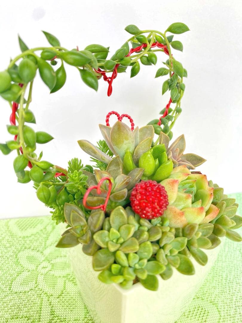 多肉寄せ植え♡グリーンネックレス