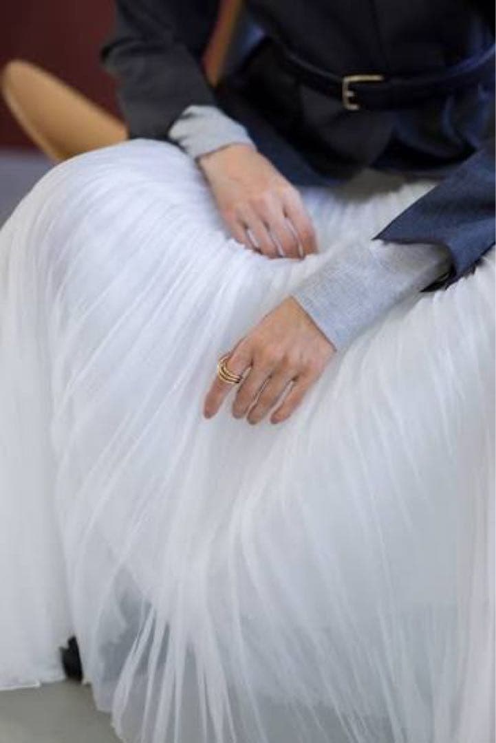 ebure エブール 完売 シアーオーガンジープリーツ スカート 新品タグ付