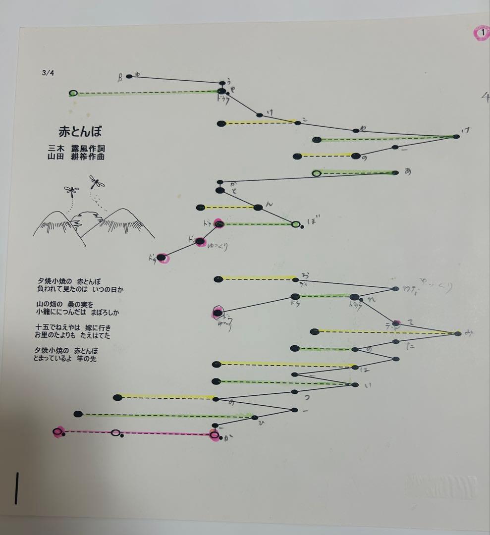 ヘルマンハープ Mタイプ 25弦 2013年製