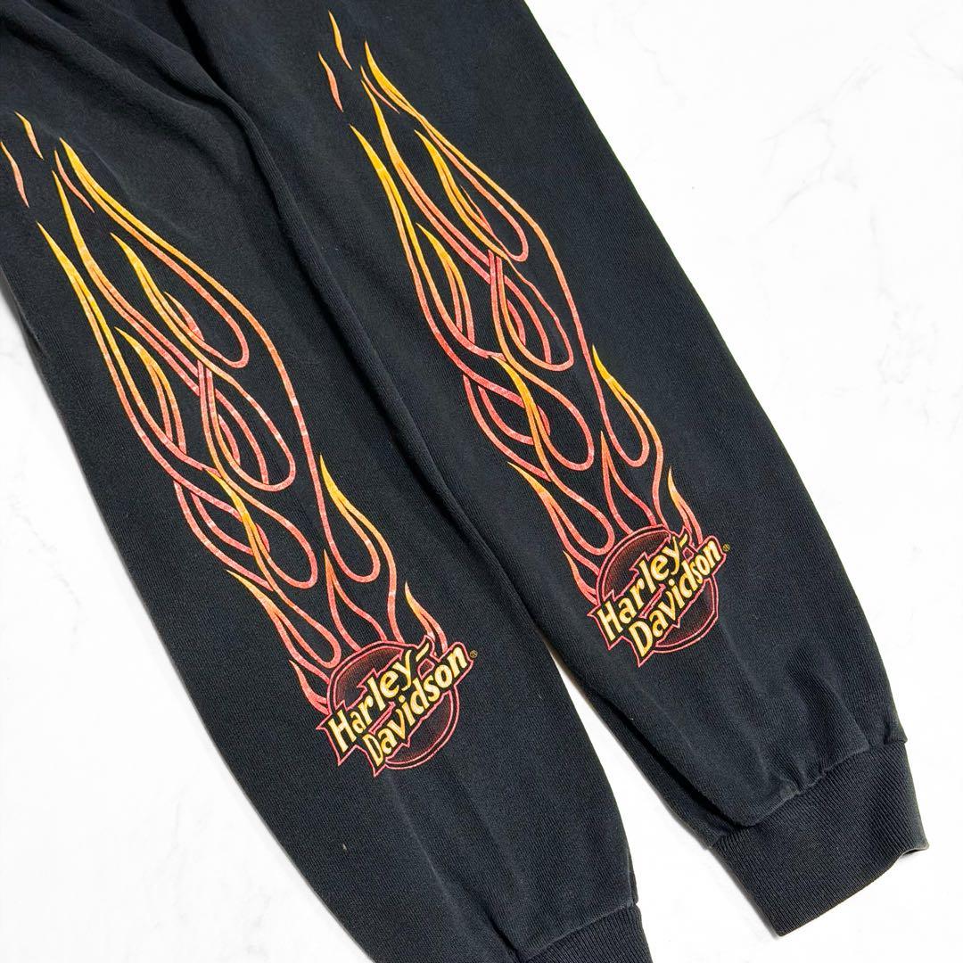 HARLEY DAVIDSON ハーレーロンT フレイムデザイン 古着
