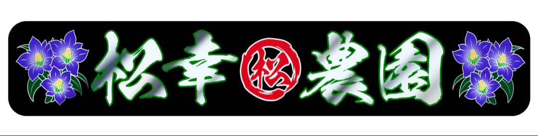 ちょろページです⭐︎