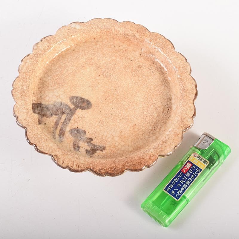 和食器　志野焼　絵志野　松文　雪輪形　菓子皿　五客　在銘　共箱　D　R7842