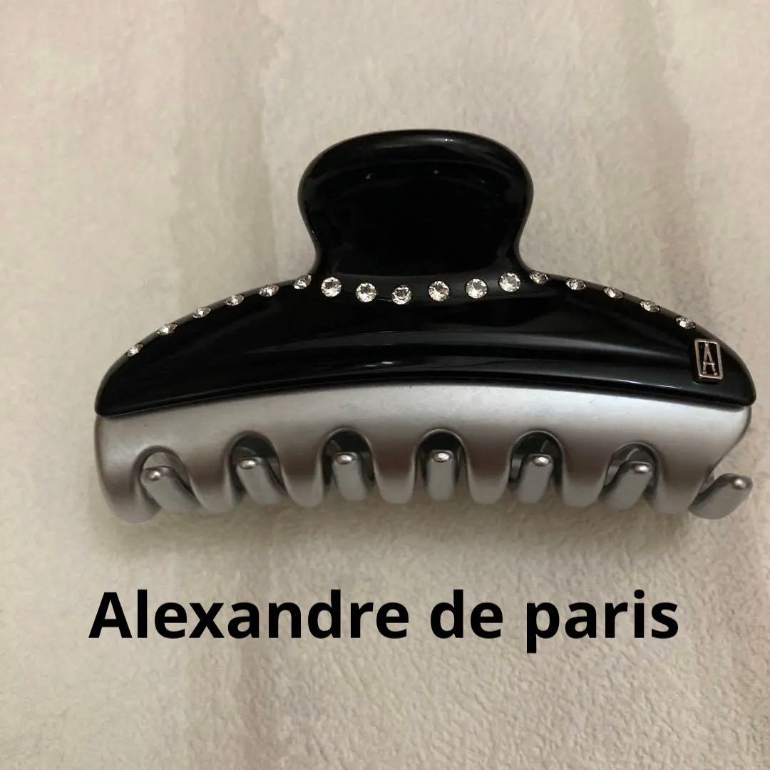 koochan アレクサンドルドゥパリ】　ヘアクリップ　ヘアアクセ