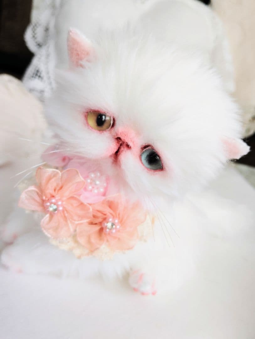 短足ぽってり♡オッドアイ子猫ちゃん♡アートドール♡ぬいぐるみ♡