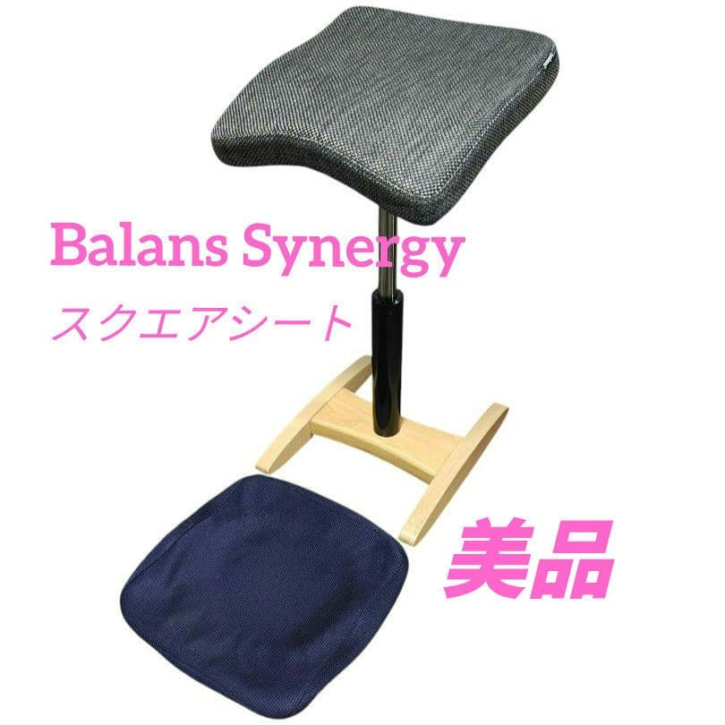 Balans Synergy バランス シナジー スクエアシート 専用カバー付