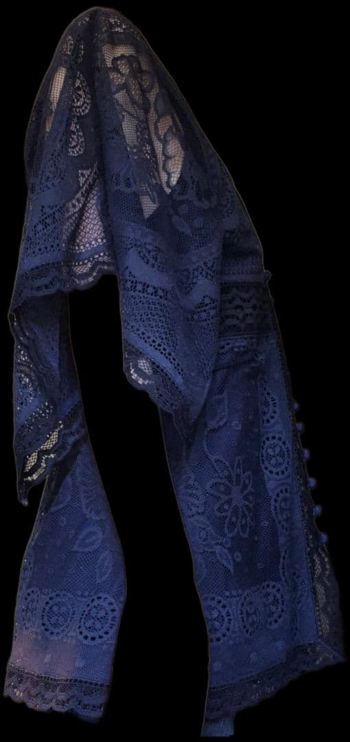 Chloe ネイビー レース ブラウス 半袖