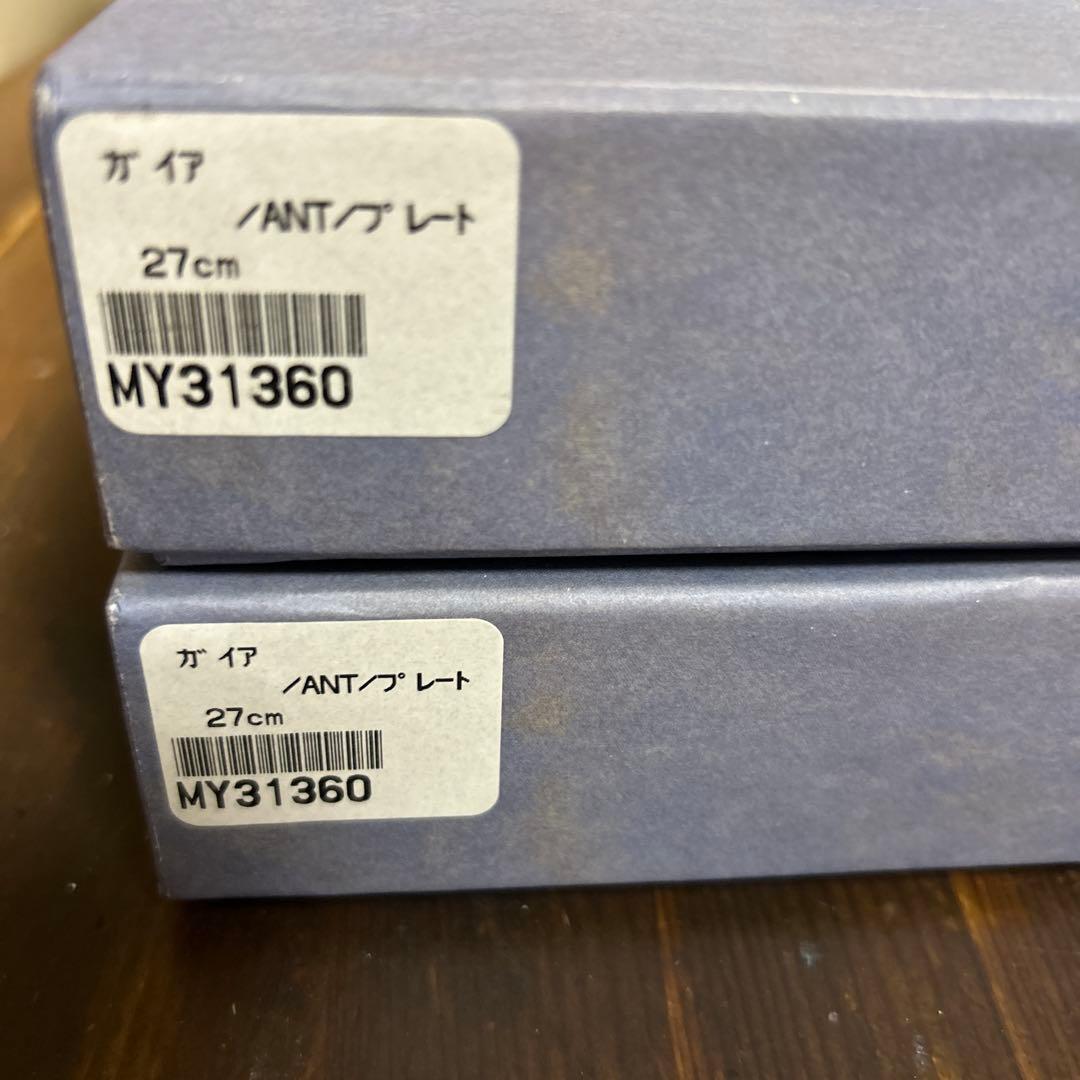 希少　レア　リチャードジノリ　ミナペルホネン　コラボプレート　皆川明 Gaia