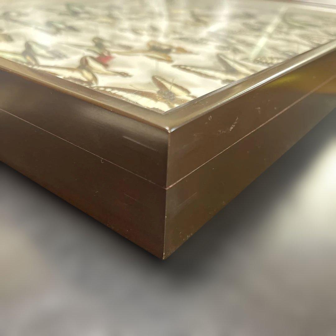 蝶標本、アオスジやミカド類多種