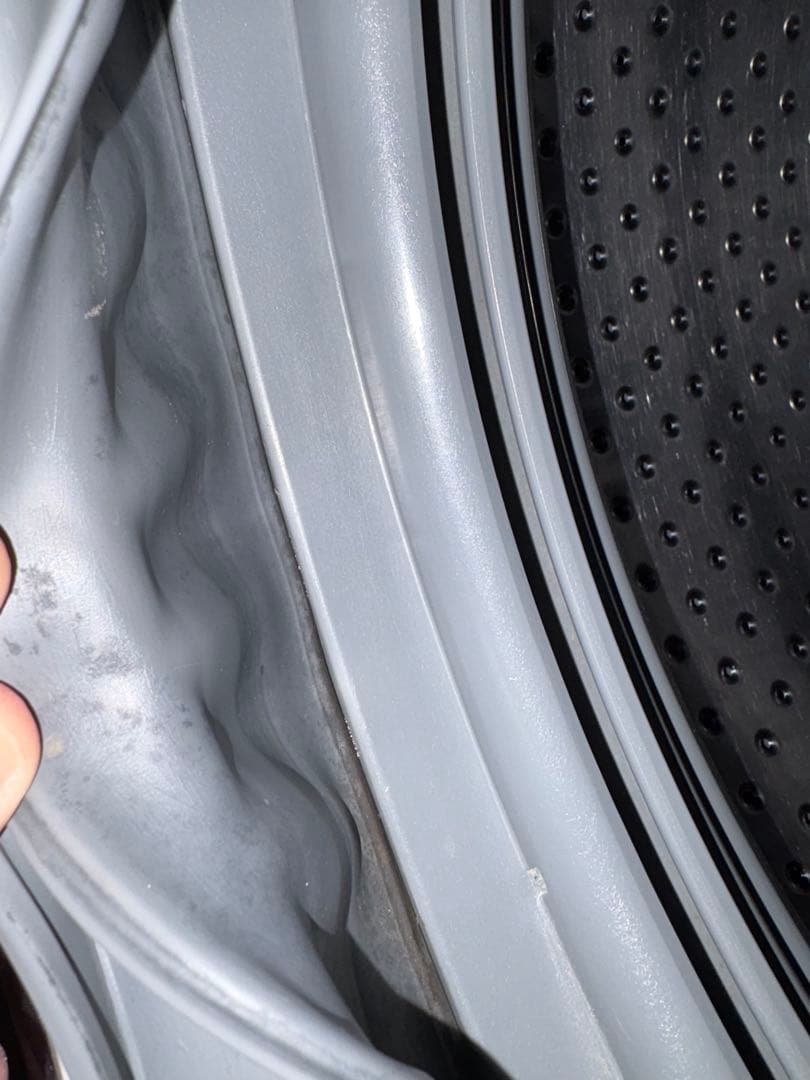 【2/22発送】東芝　TOSHIBA ドラム式洗濯乾燥機　TW-Z96V1R