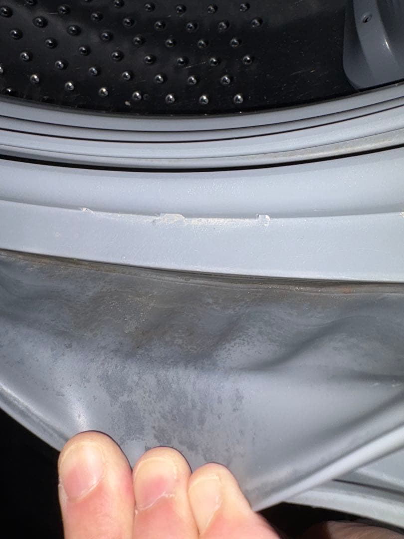 【2/22発送】東芝　TOSHIBA ドラム式洗濯乾燥機　TW-Z96V1R