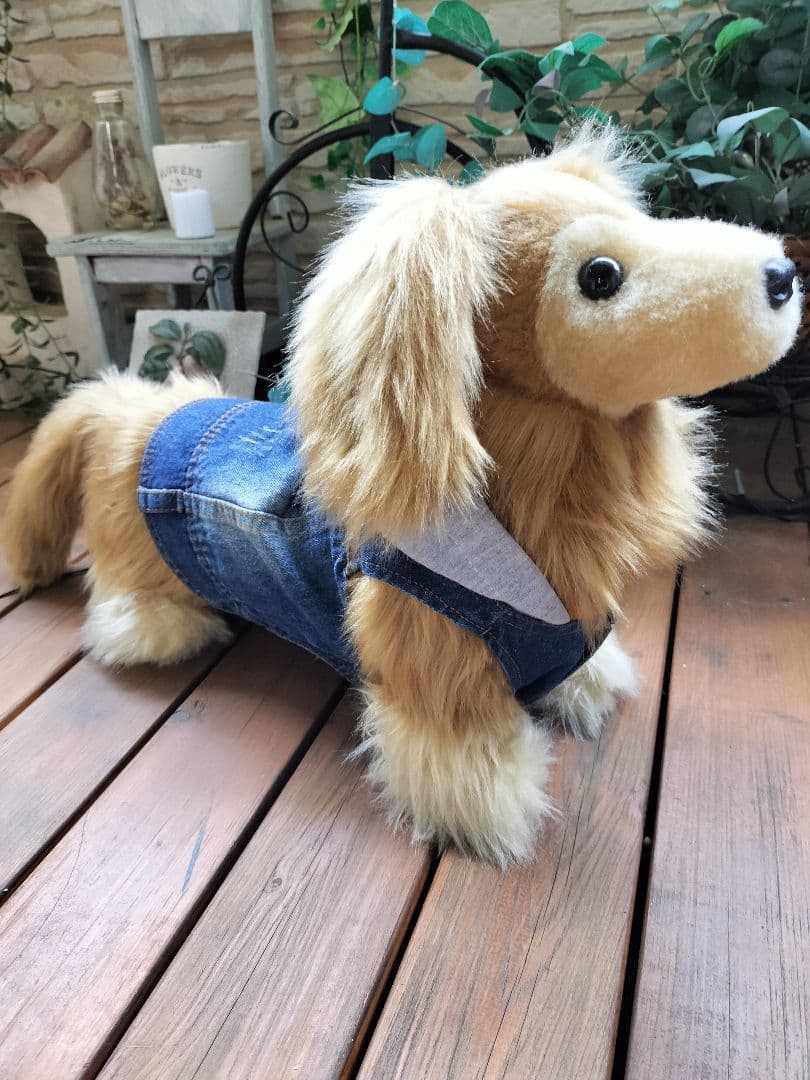 ゆかべぇ　ダックス　レッド