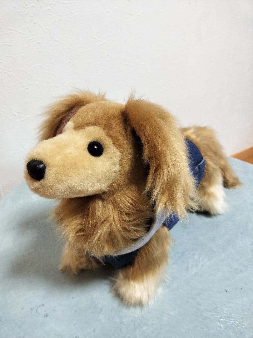 ゆかべぇ　ダックス　レッド