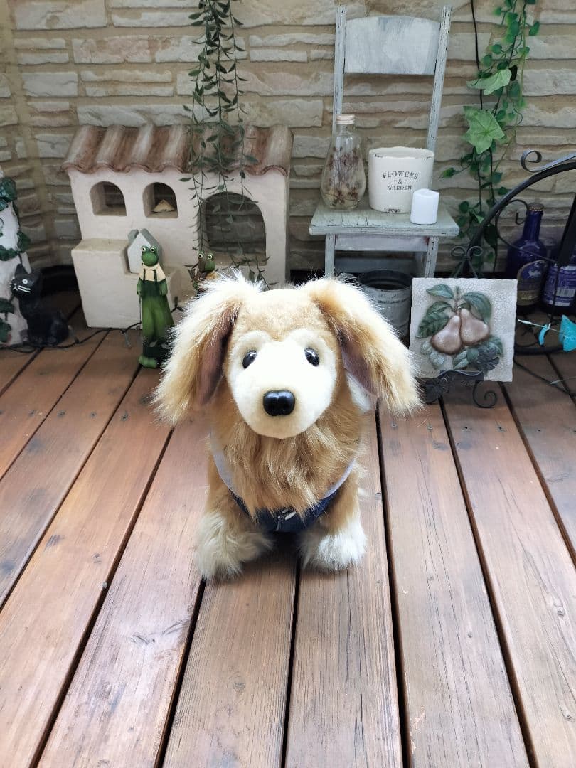 ゆかべぇ　ダックス　レッド