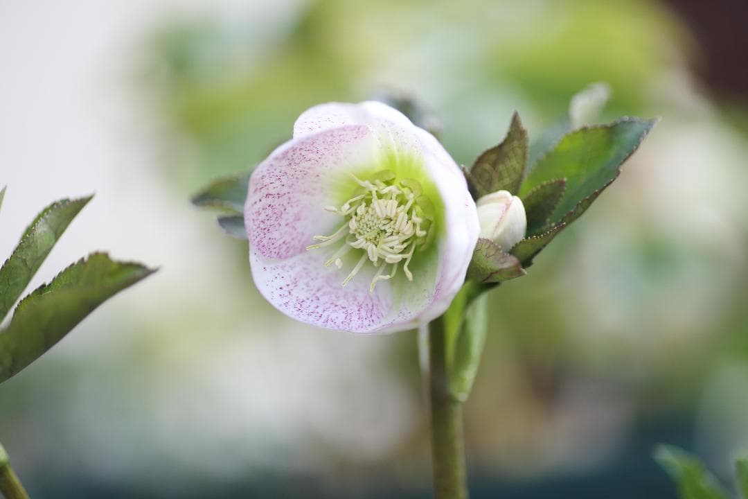 もり子❤(ӦｖӦ。)プロフィール必読様 リクエスト 3点 まとめ商品